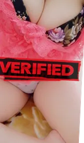 Audrey tits Prostitute Simpang