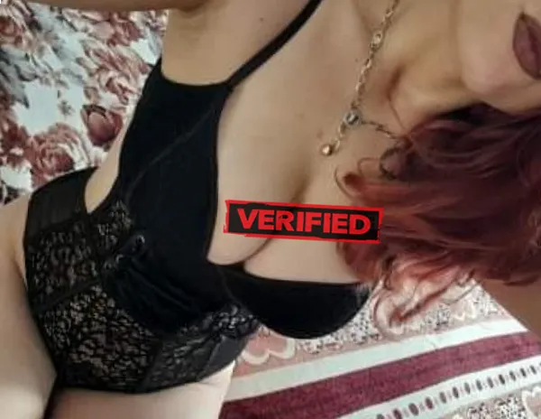 Vivian sexy Finde eine Prostituierte Ruisbroek